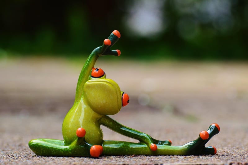 Mindful Stretches